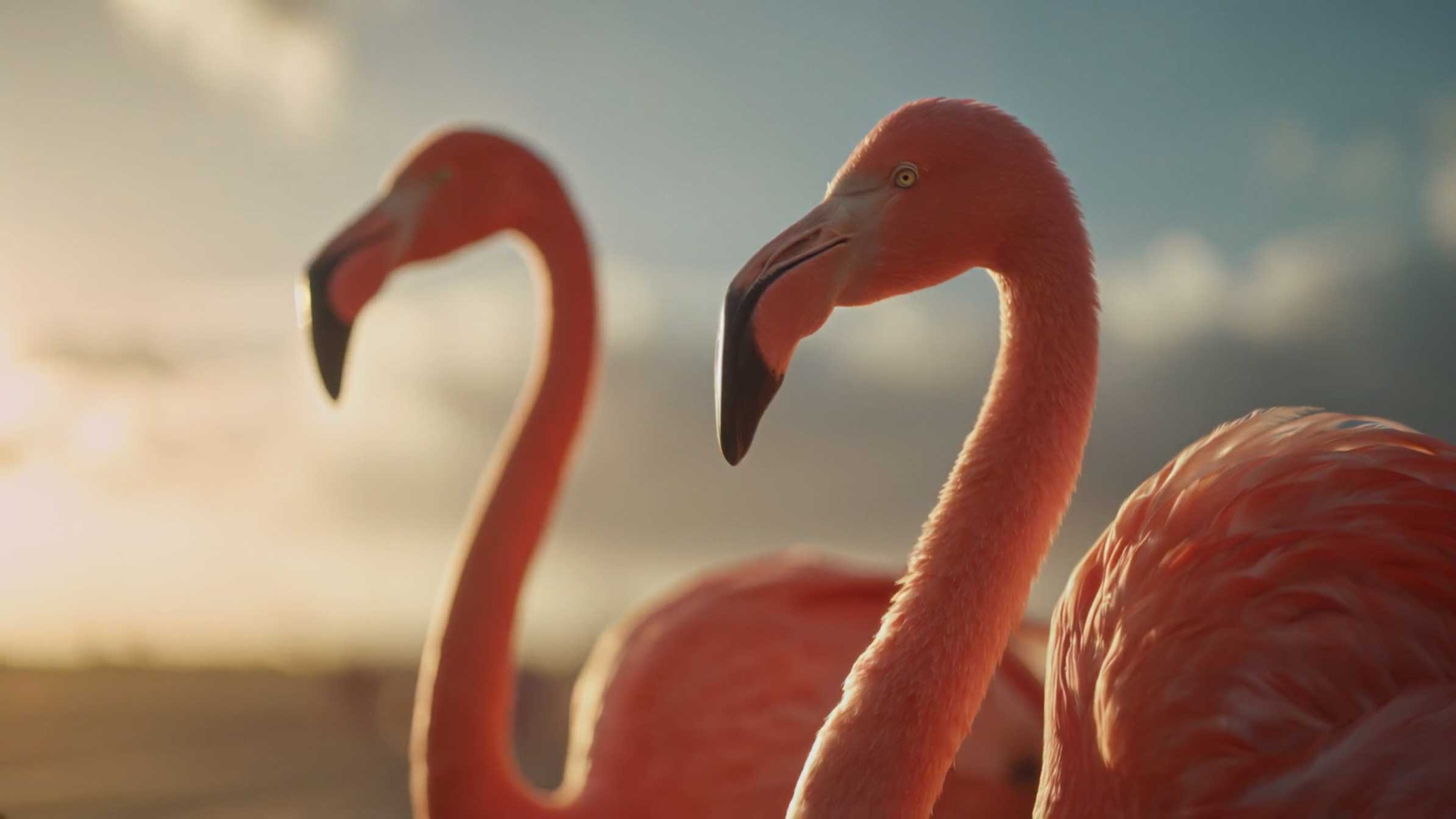 Cathay Pacific Cargo Big and Small ad by Brent Bonacorso | STASH MAGAZINE