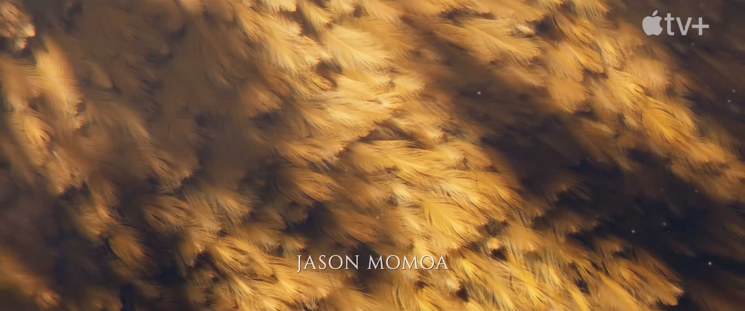 Chief of War main titles by Studio AKA | STASH MAGAZINE