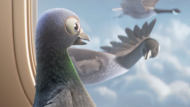 Conor Finnegan and Nexus Studios Make a Flap With Progressive Pigeons