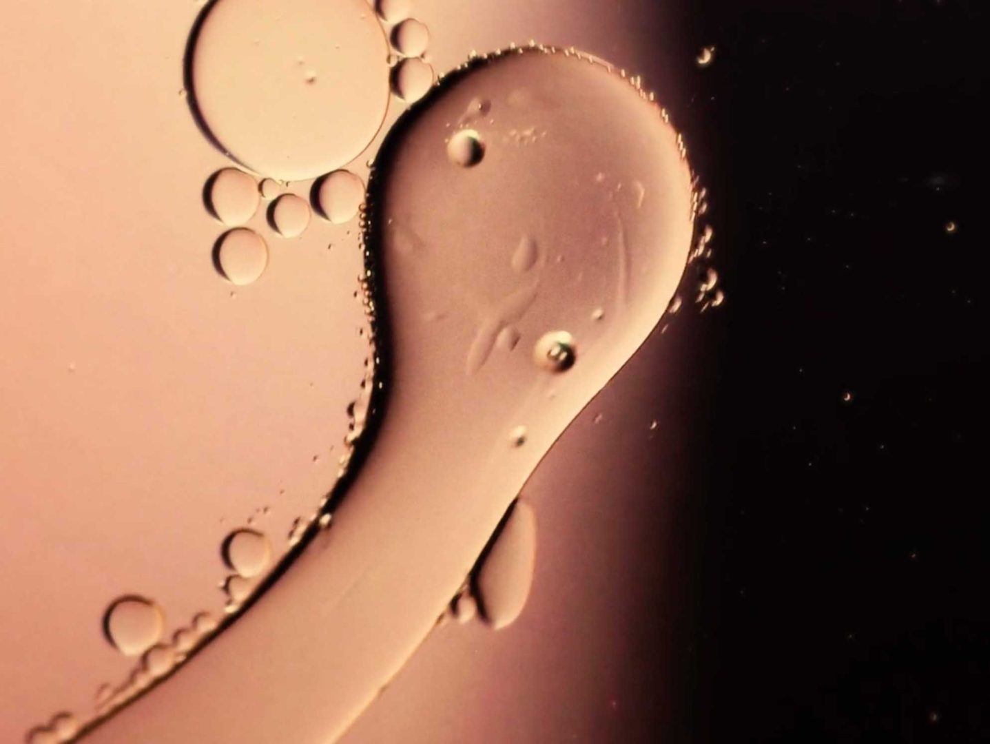 Close-up of circular oil droplets in liquid for Cypher Releases Sonic Studies 1. Frame from Stash Magazine article.