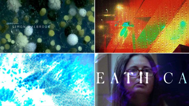 The Organic & the Forensic: The Sequence Group Opens 