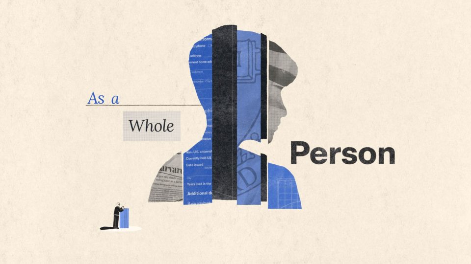 Documentary animated segments by Rohan Mcdonald | STASH MAGAZINE