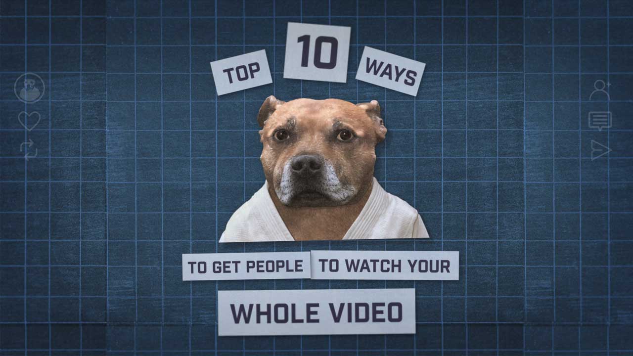 A dog wearing a white robe is centered on a blue grid background with text: Top 10 Ways to Get People to Watch Your Whole Video. Highlighting tips from Dog & Rabbit Nail The Socials for Dog Judo Series, this eye-catching design brings playful energy to your content strategy. Frame from Stash Magazine article.