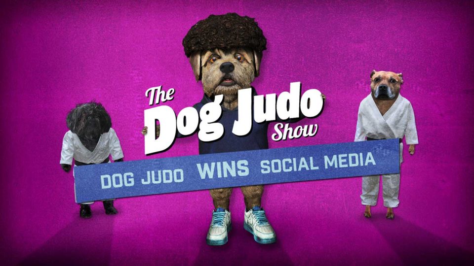 Three illustrated dogs in judo outfits stand on a pink background. One holds a sign reading DOG JUDO WINS SOCIAL MEDIA. Large white text says, The Dog Judo Show. Dog & Rabbit nail the socials for the Dog Judo series, bringing playful energy to every post. Frame from Stash Magazine article.