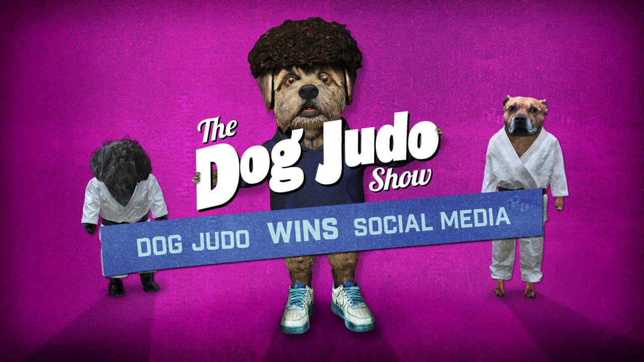 Three illustrated dogs in judo outfits stand on a pink background. One holds a sign reading DOG JUDO WINS SOCIAL MEDIA. Large white text says, The Dog Judo Show. Dog & Rabbit nail the socials for the Dog Judo series, bringing playful energy to every post. Frame from Stash Magazine article.