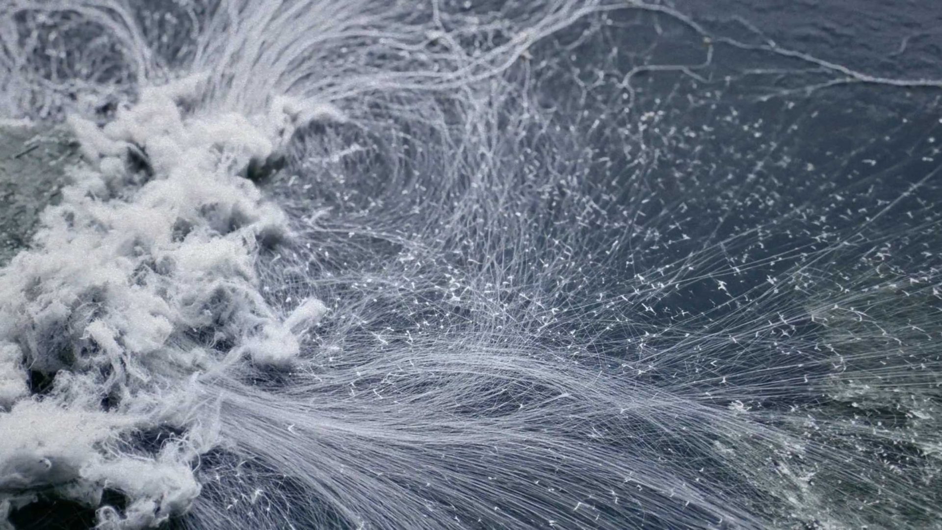 Thin white fibers, resembling spiderwebs or tangled thread, swirl across a dark gray Ege Carpets surface with a design reminiscent of Gensler aesthetics. Frame from Stash Magazine article.