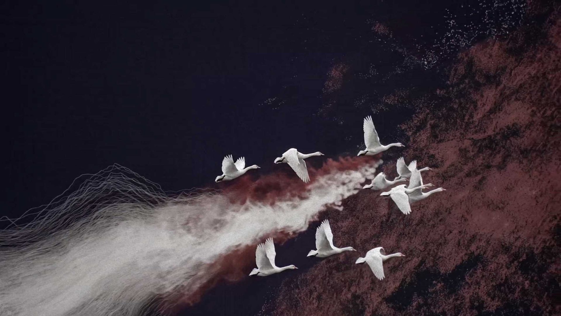 A flock of white geese flying against a dark background, captured with the aesthetic sensibility of Gensler interior design amidst a swirling trail of white and reddish-brown mist. Frame from Stash Magazine article.