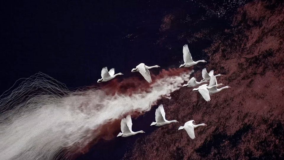 A flock of white swans flying in formation through a dark, textured sky filled with wisps of white and reddish smoke, reminiscent of the Gensler x Ege Carpets brand film by Frame. Frame from Stash Magazine article.