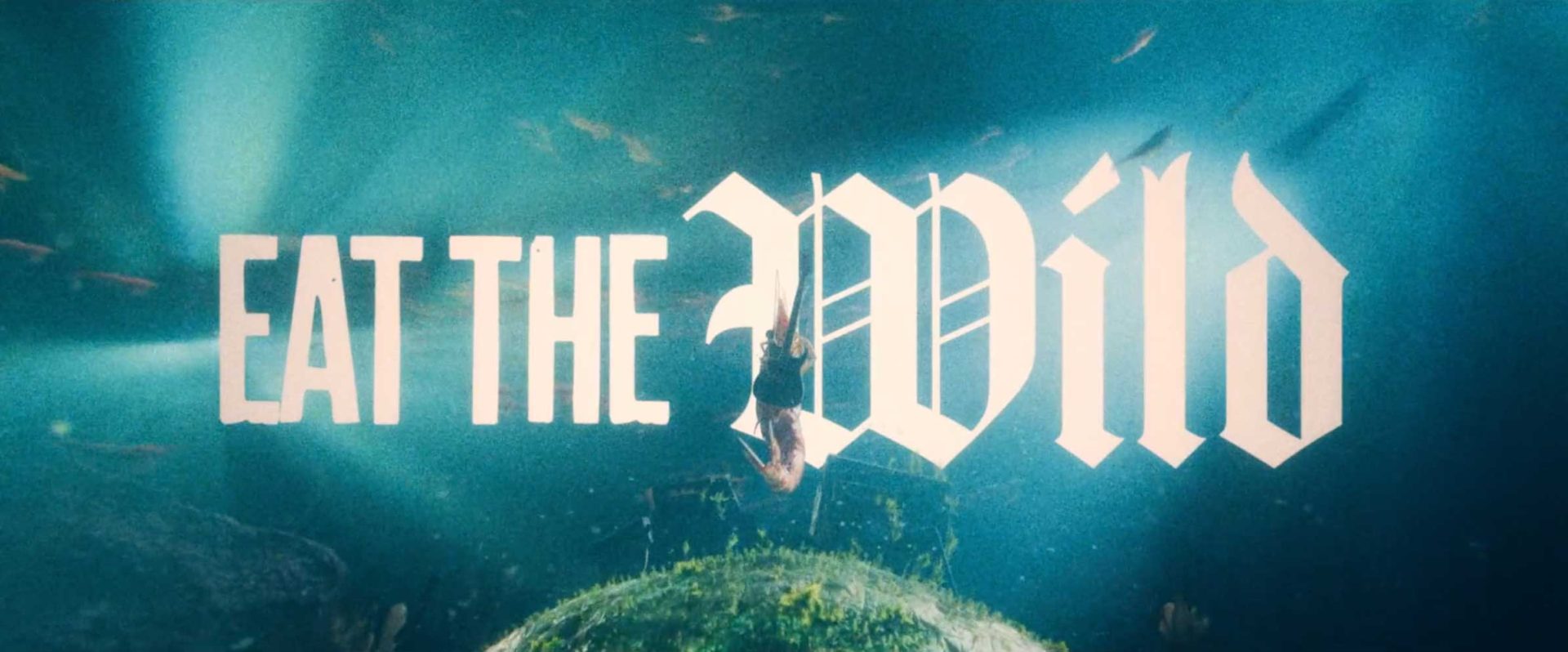 The phrase EAT THE WILD in bold, stylized white letters appears over an underwater scene with a person swimming and light beams shining through water, evoking the untamed spirit of Skull Island and the thrill of shredding shellfish beneath the waves. Frame from Stash Magazine article.
