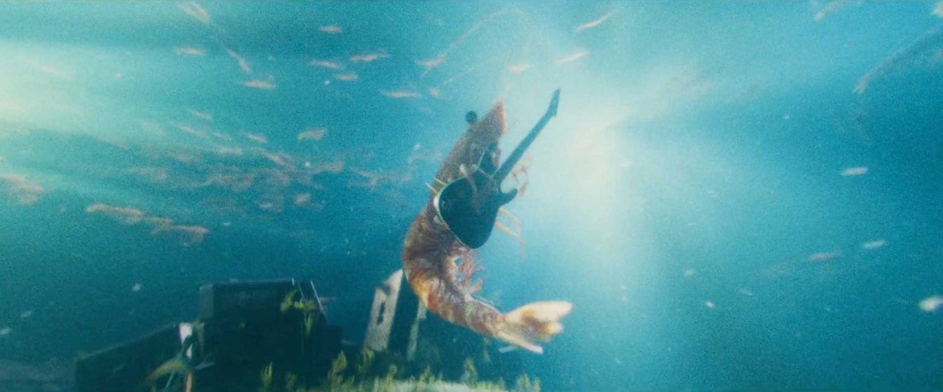 A shrimp underwater holds a black electric guitar amid sunlit water, as fish swim nearby and debris rests on the ocean floor—a scene inspired by Eat the Wild - Skull Island Prawns commercial. Frame from Stash Magazine article.