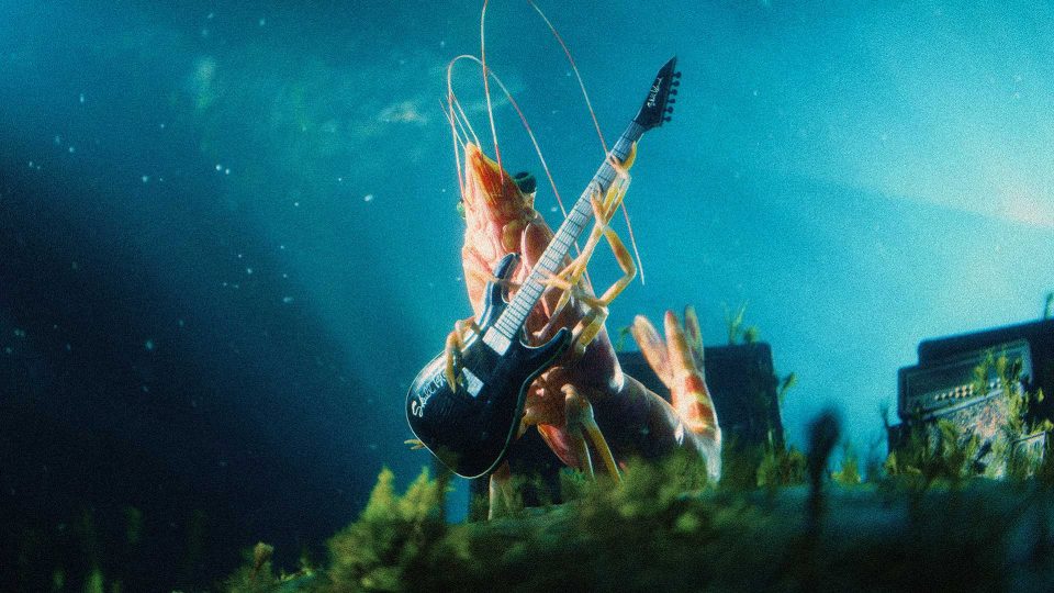 A shrimp underwater is holding and playing an electric guitar, surrounded by aquatic plants and amplifiers with beams of light filtering through the water—setting the stage for a rocking Eat the Wild - Skull Island Prawns commercial. Frame from Stash Magazine article.
