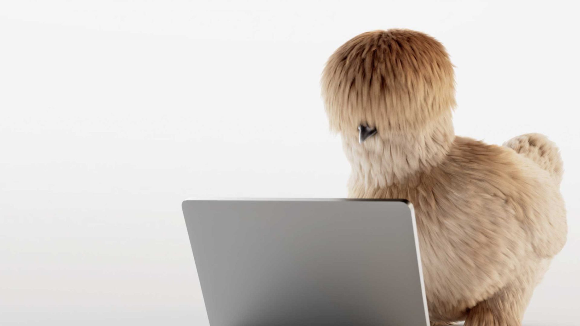 A fluffy brown chicken with feathers covering its eyes stands behind a laptop, appearing to look at the screen, as if ready to Equip Super skills. The background is plain and white. Frame from Stash Magazine article.