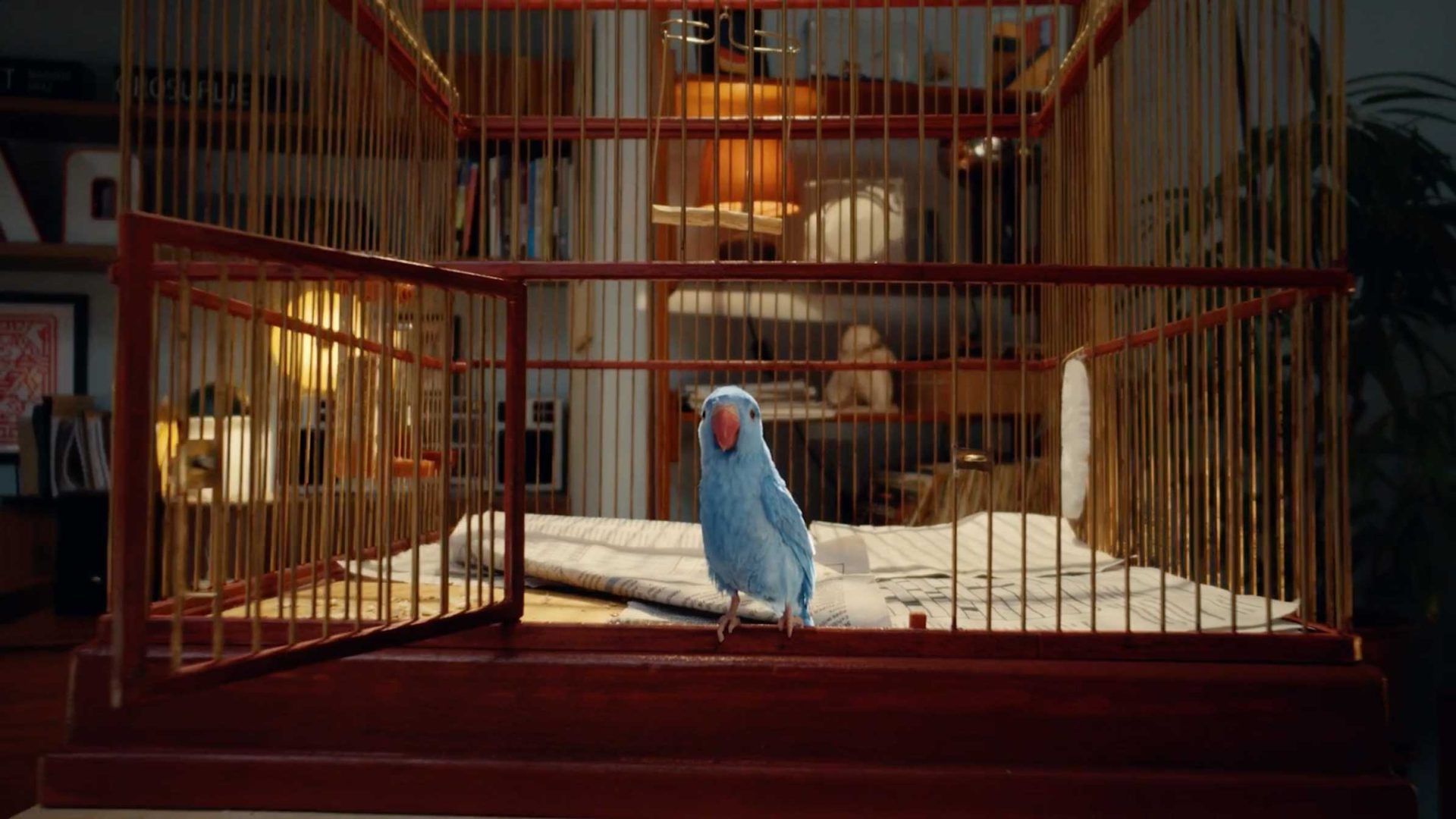 A small blue parrot, known as The Bird, stands at the open door of a red and gold cage lined with newspaper. The background shows a warmly lit room with bookshelves and a desk. Frame from Stash Magazine article.