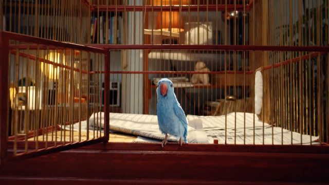 A blue parakeet stands on the edge of an open birdcage lined with newspapers. In the cozy, warmly lit room, a bed, bookshelves, and a lamp set the scene—just like in Perlin & DOM&NIC’s "The Bird. Frame from Stash Magazine article.