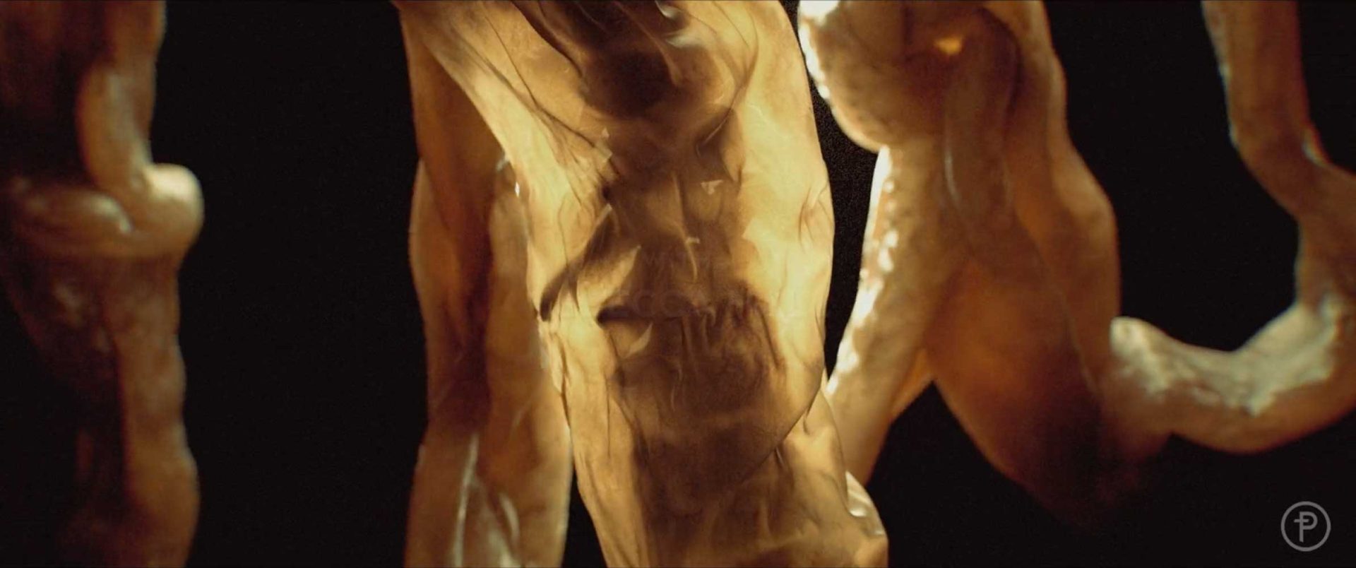 A close-up of a translucent, sinewy structure resembling organic tissue or muscle, illuminated with warm light against a dark background, inspired by the FX The Beauty TV series titles by Prologue. Frame from Stash Magazine article.