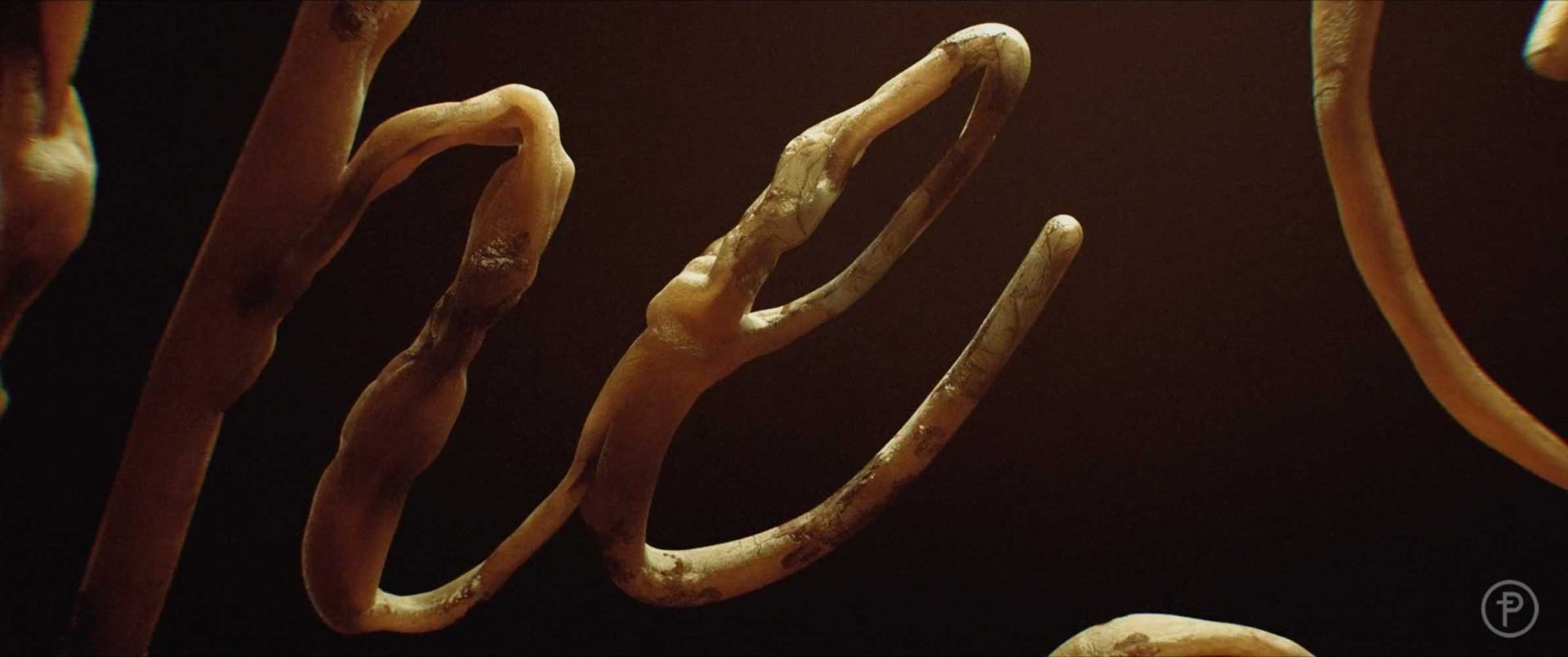 Three elongated, twisted forms with a rough, organic texture are shown against a dark background. Reminiscent of Kyle Cooper's Prologue artistry, the shapes resemble abstract figures in warm brown and tan tones, evoking The Beauty of natural sculpture. Frame from Stash Magazine article.