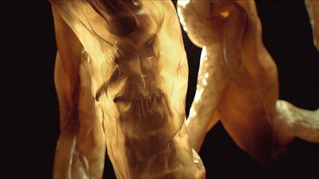 Close-up of a translucent, amber-colored object with organic shapes and textures, illuminated dramatically against a dark background—a visual prologue reminiscent of Kyle Cooper’s style that highlights the intricate beauty of its wrinkled surface. Frame from Stash Magazine article.