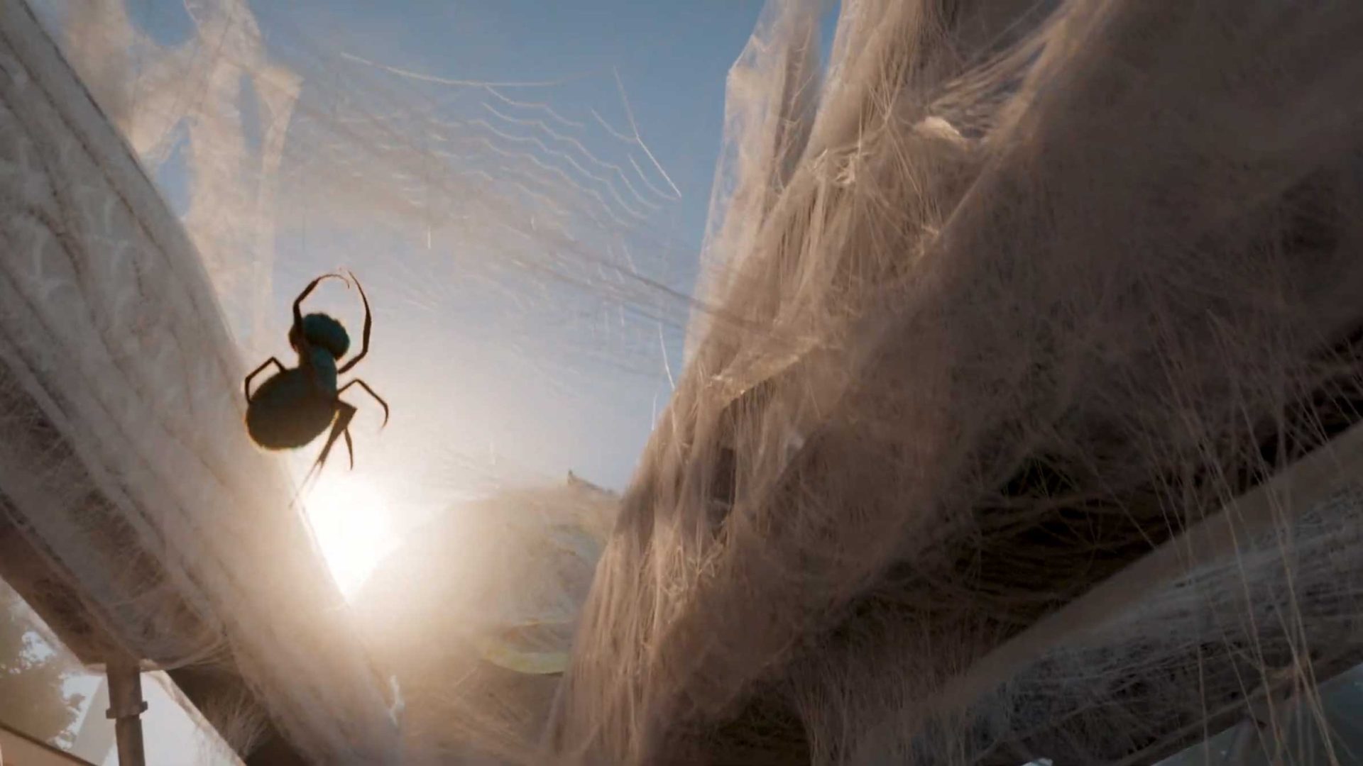 A close-up of a spider hanging from its web between two structures, with thick layers of webbing and the sun shining in the blue sky—a scene straight out of a Spider Fantasy or filmic animation. Frame from Stash Magazine article.