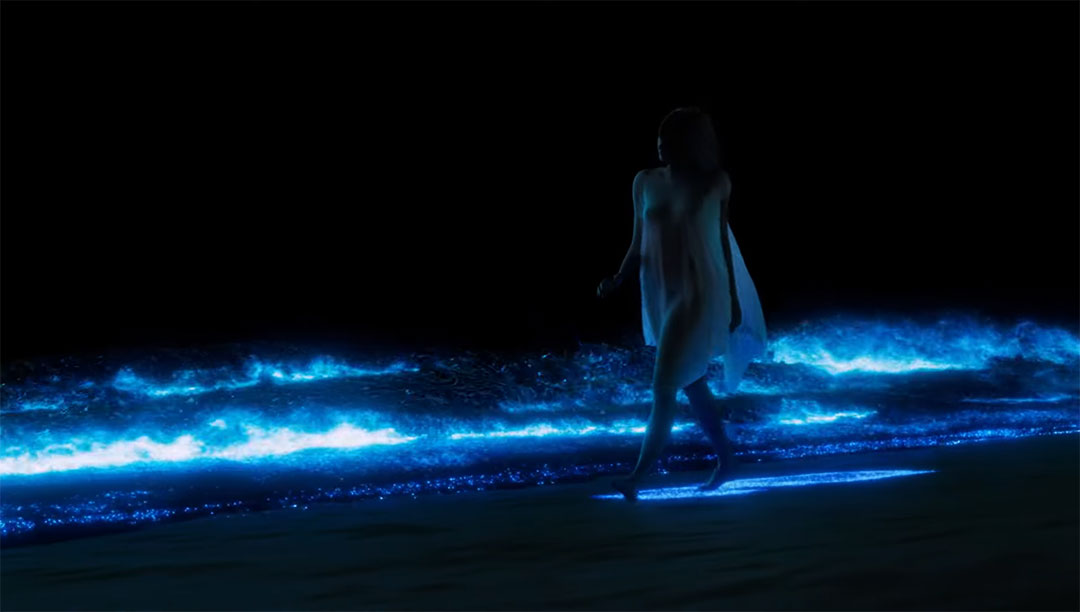 Fireflies-of-the-Night-A-Dance-of-Bioluminescence-Short-Film-Artur-Gadzhiev | STASH MAGAZINE