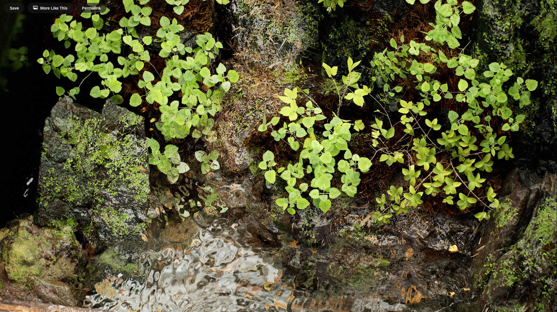 Forest in a Bottle Redux Unreal Engine Tests by Leo Torres | STASH MAGAZINE