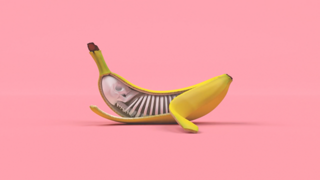 Bananas Short Film | STASH MAGAZINE