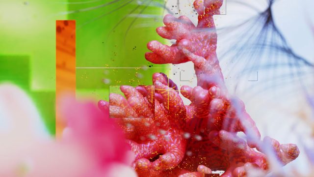 Dada Projects Visualizes DeepMind AI for Sustainability