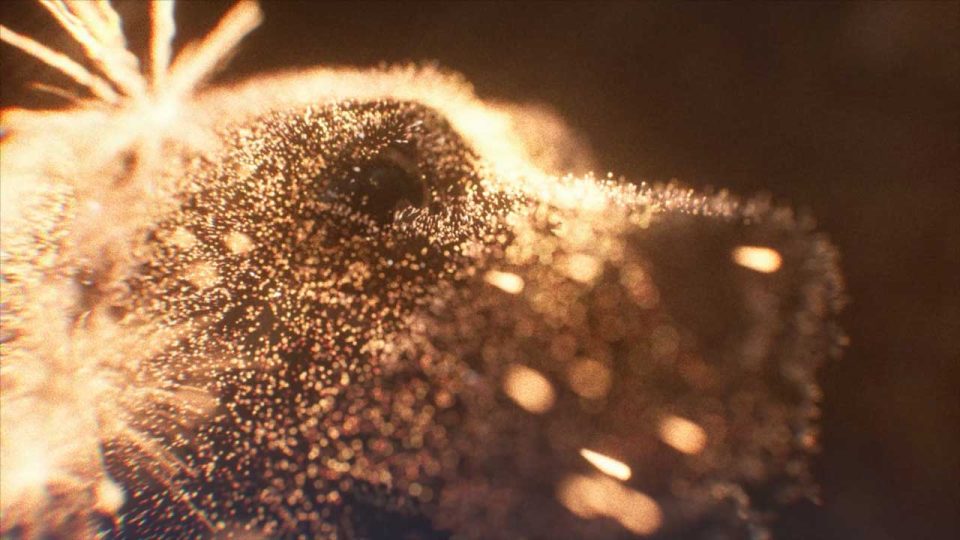 Greek Ministry of the Interior Silent Fireworks by Yeti Pictures | STASH MAGAZINE