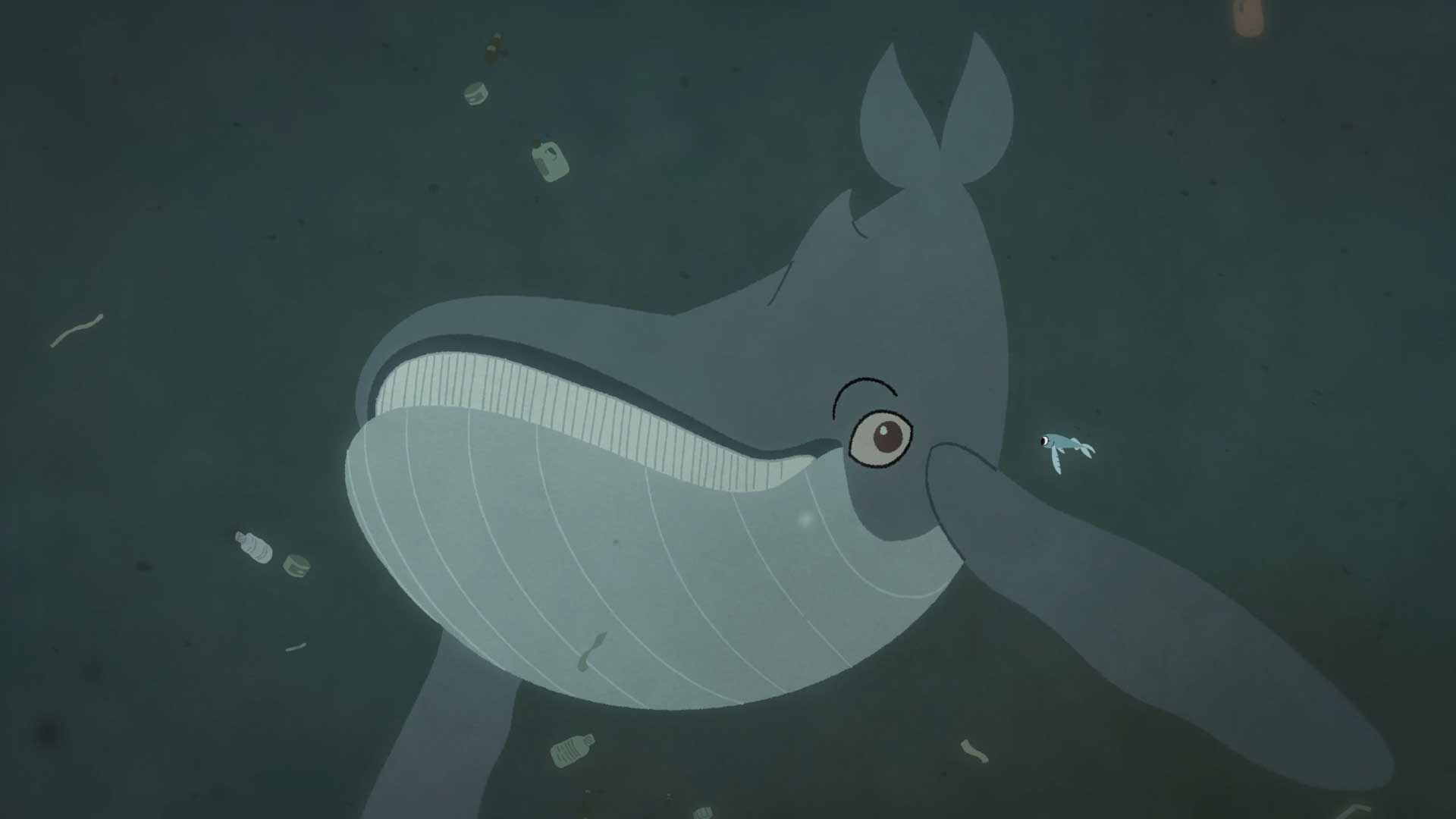 Greenpeace Sanctuary Rumpus Animation | STASH MAGAZINE