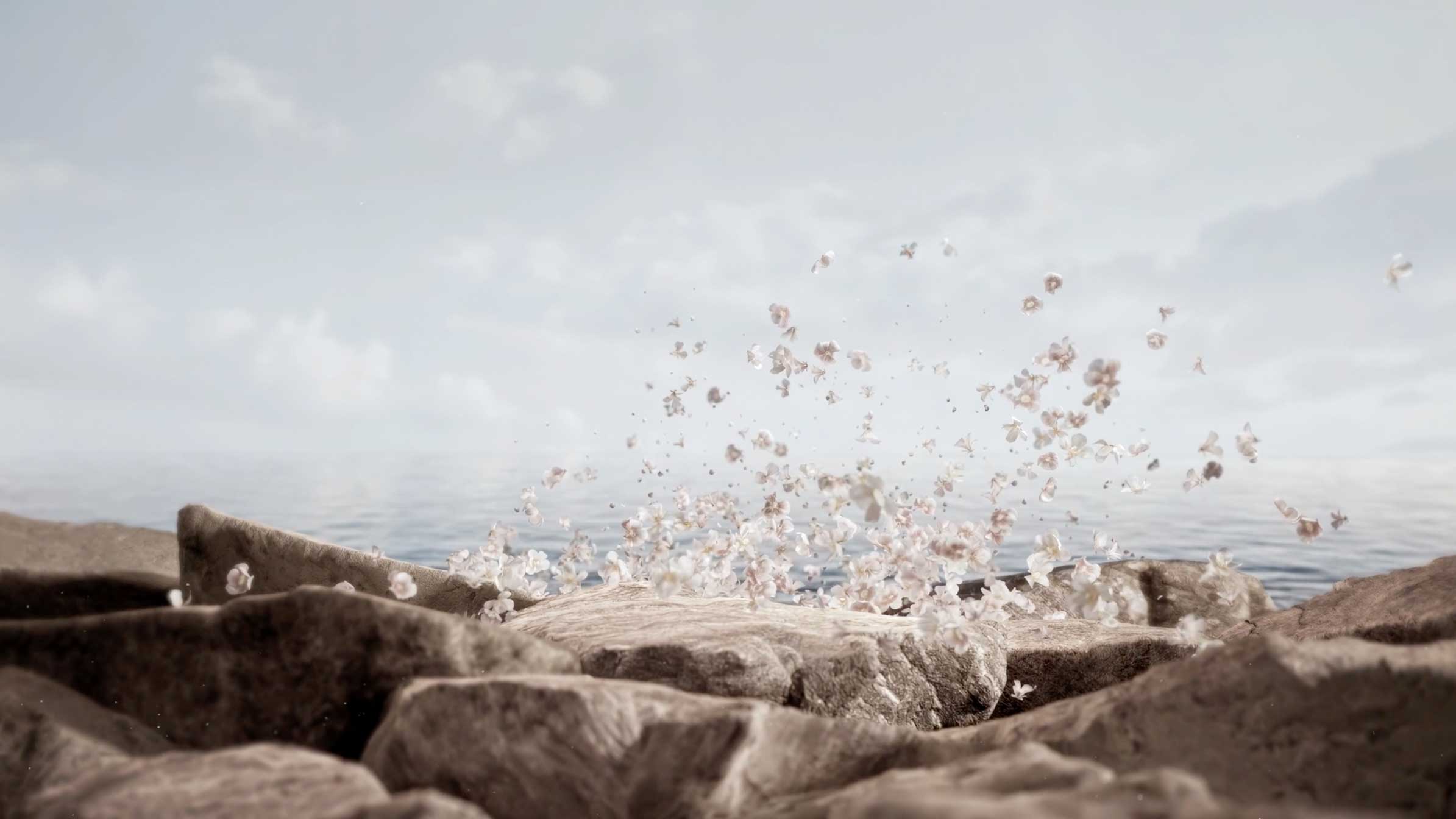 Heaven is a Library Short Film by Moon Juryeong VDAS | STASH MAGAZINE