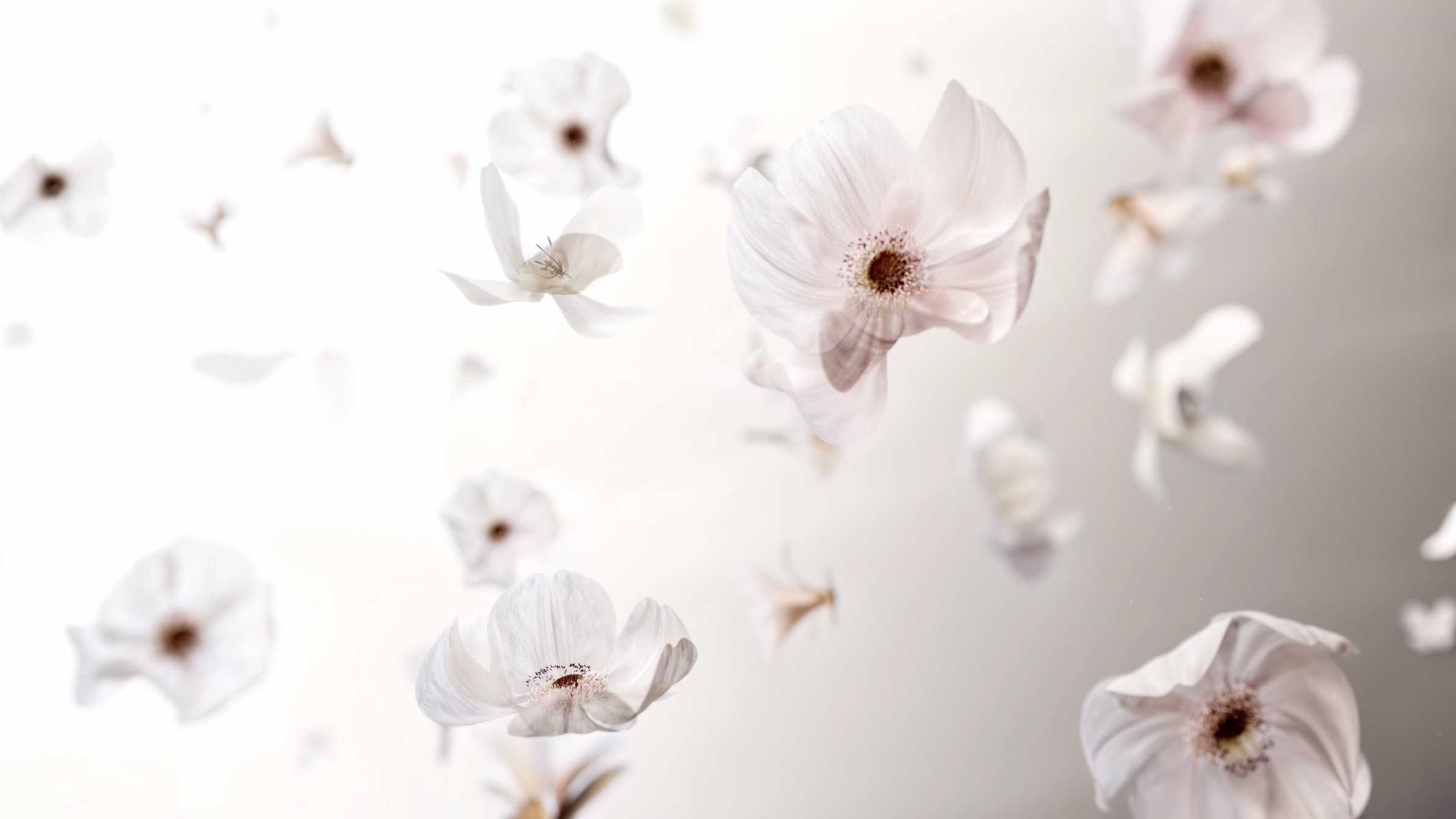 Heaven is a Library Short Film by Moon Juryeong VDAS | STASH MAGAZINE