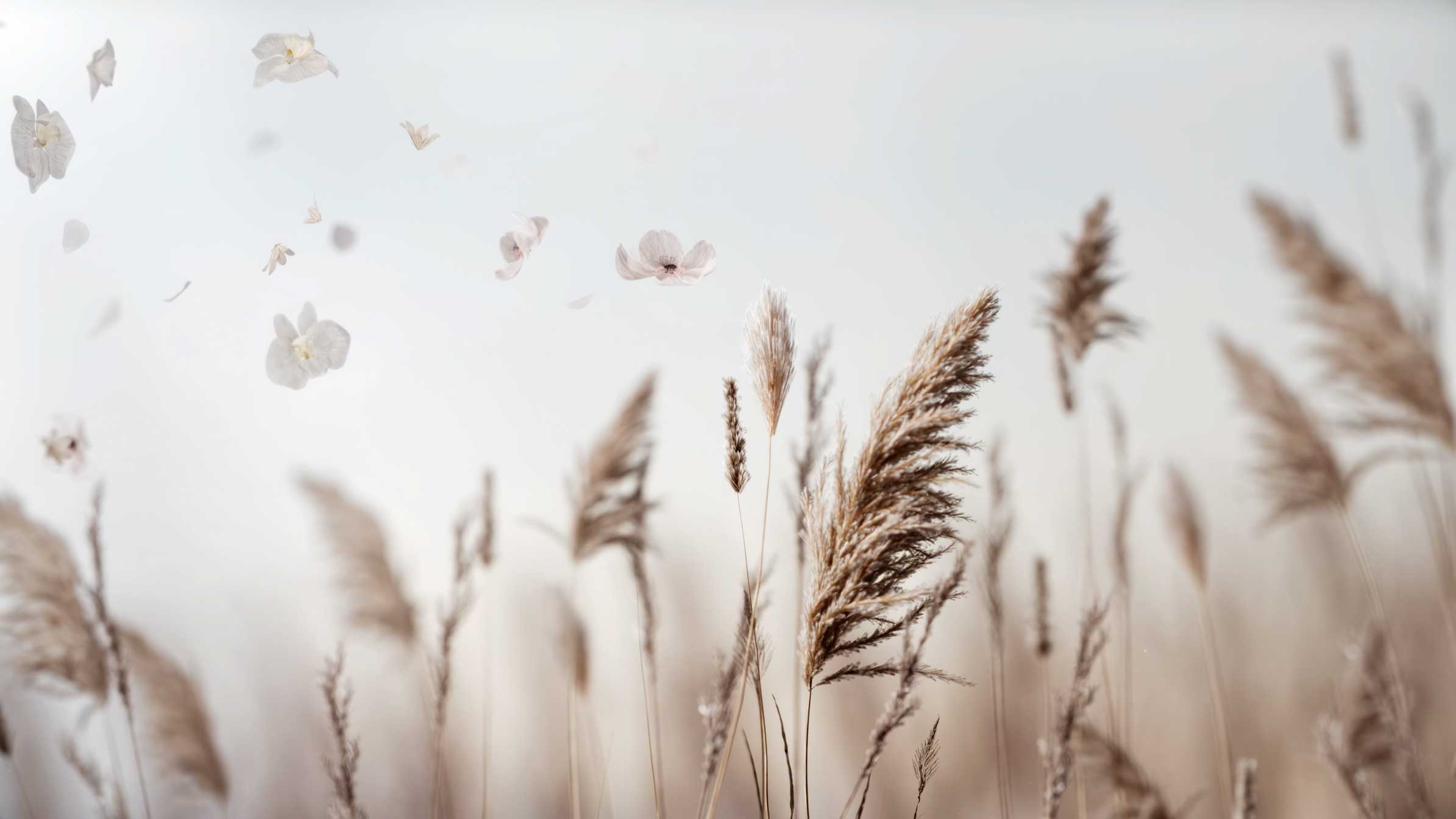 Heaven is a Library Short Film by Moon Juryeong VDAS | STASH MAGAZINE