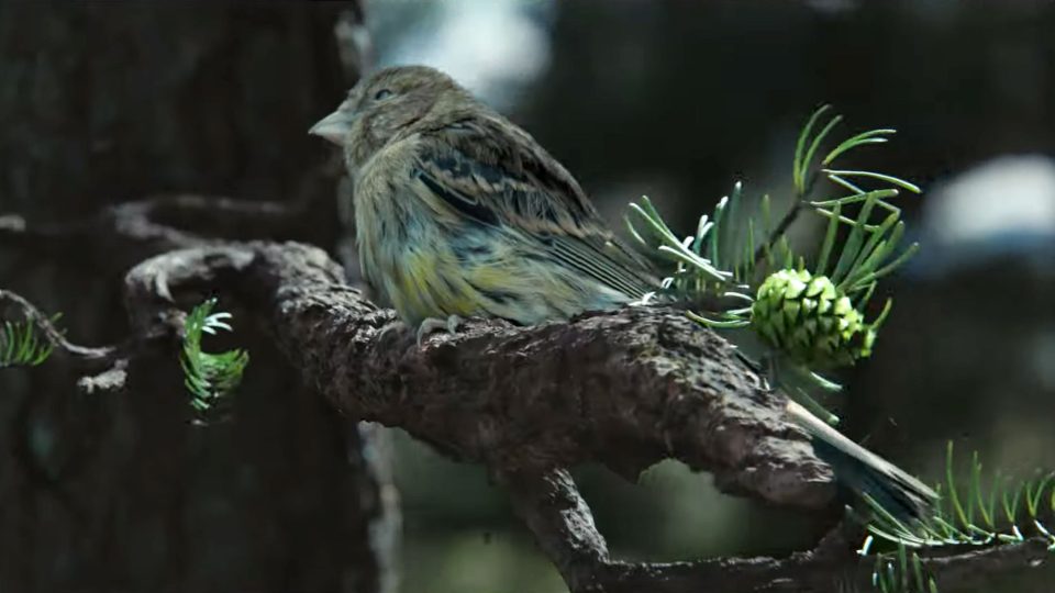 Hewlett Packard Printing Trees Spot Megaforce Kevin | STASH MAGAZINE