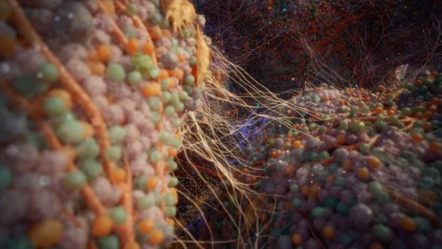 Hybrid Medical Animation The Tumor Microenvironment | STASH MAGAZINE