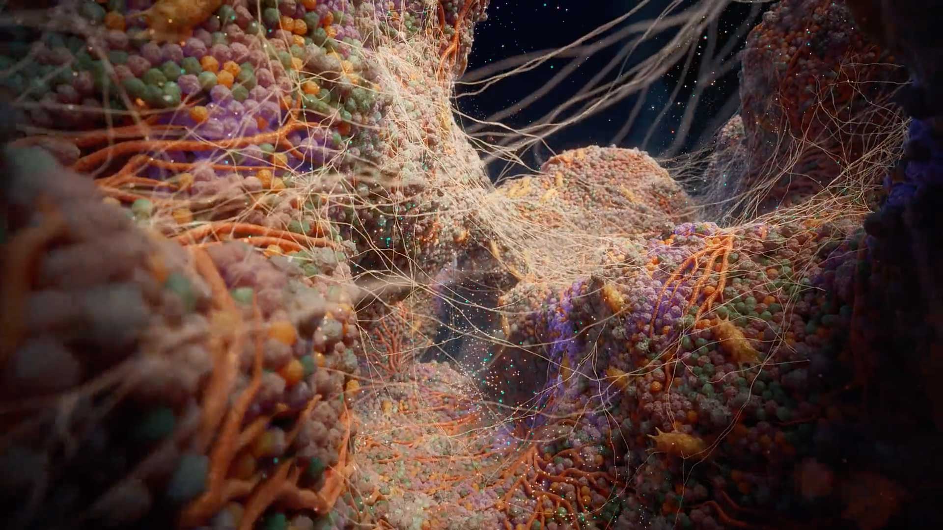 Hybrid Medical Animation The Tumor Microenvironment | STASH MAGAZINE