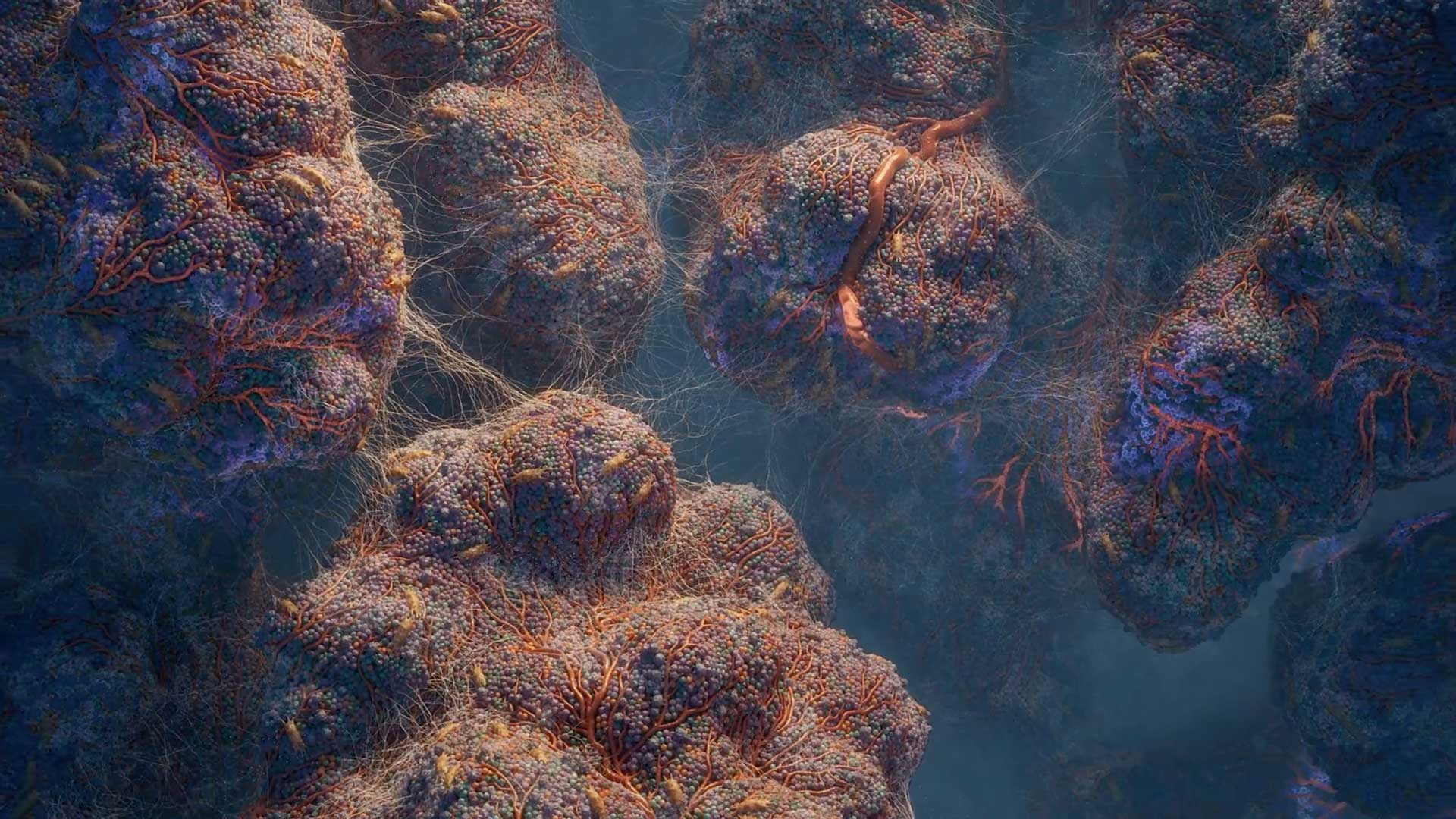 Hybrid Medical Animation The Tumor Microenvironment | STASH MAGAZINE