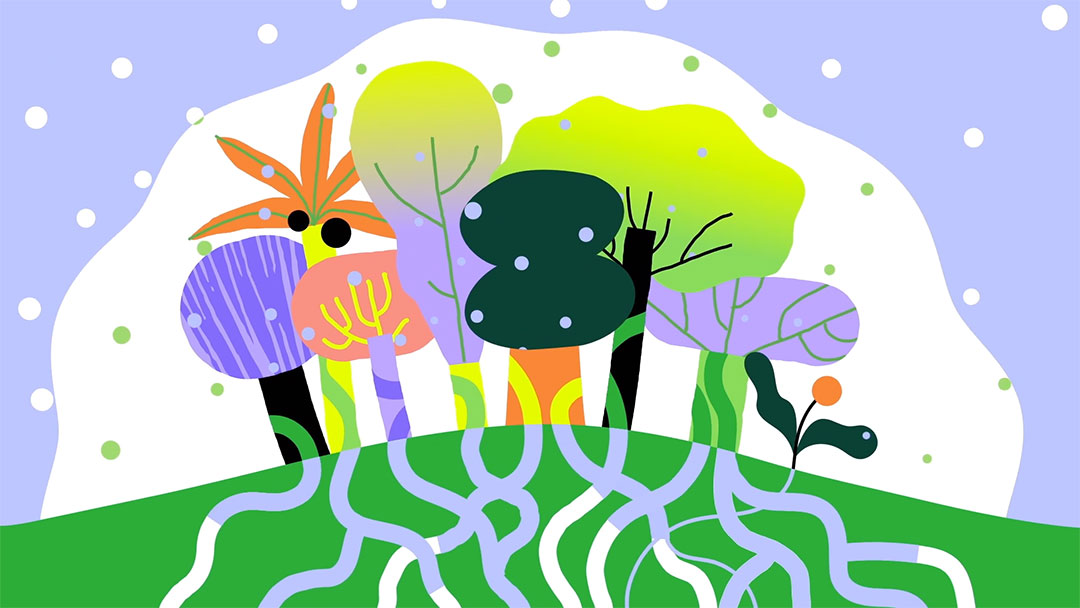 Illo Highlights Biodiversity for The Nature Conservancy | STASH MAGAZINE