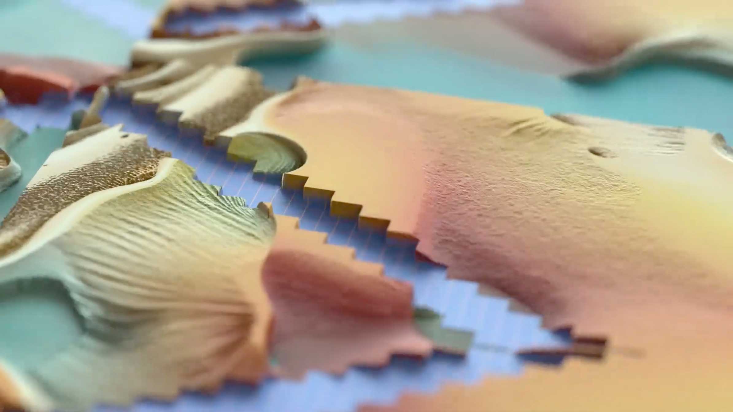 JJ Whitefiled InTransition music Video by Michael Fragstein | STASH MAGAZINE
