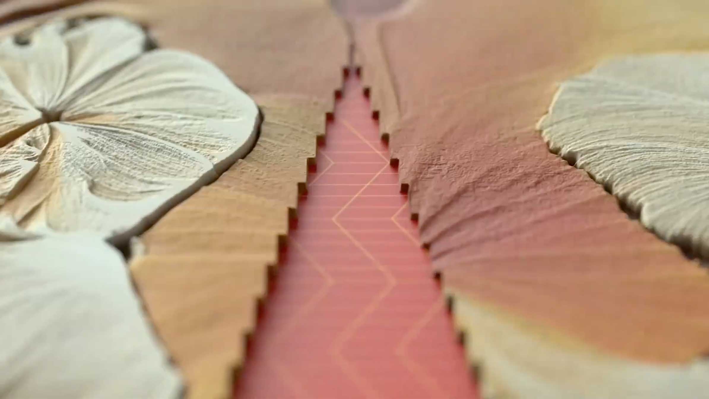 JJ Whitefiled InTransition music Video by Michael Fragstein | STASH MAGAZINE