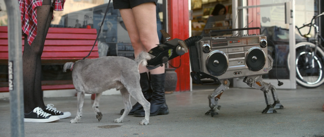 Spotify Dallas Pets Alive | STASH MAAGZINE