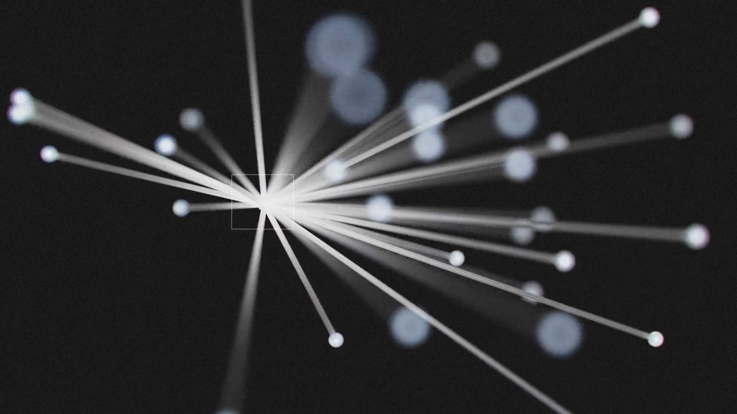 Living Identities Manifesto by Plenty | STASH MAGAZINE