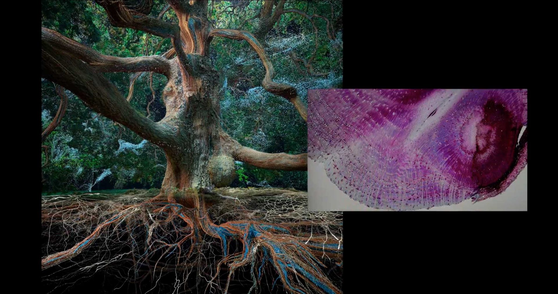 Marshmallow Laser Feast Offers Peek at Up-Coming Oxford–Bloomberg Installation