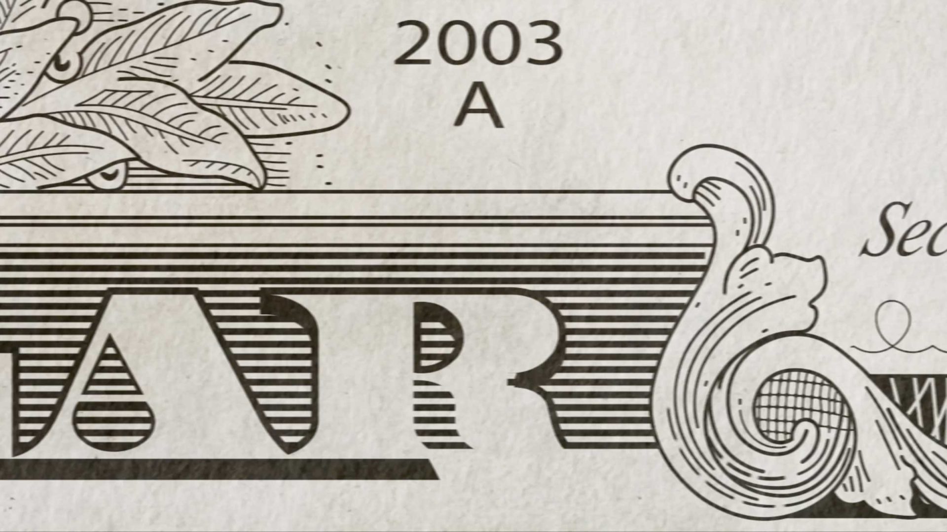 Close-up of a section of U.S. currency showing part of a decorative border, intricate linework, the number “2003,” the letter “A,” and partial letters from the printed design—a detailed image reminiscent of the precision found in McAlvany Wealth Management’s approach to financial security. Frame from Stash Magazine article.