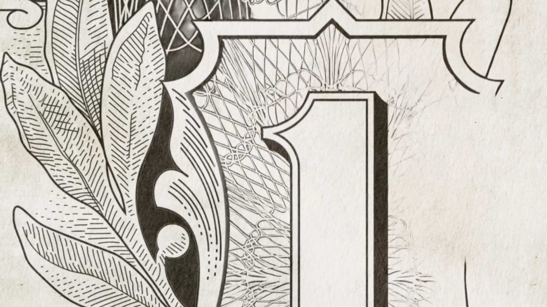 Close-up of the number 1 on a US Dollar bill, with intricate leaf designs and detailed line patterns in black and Roman white. Frame from Stash Magazine article.