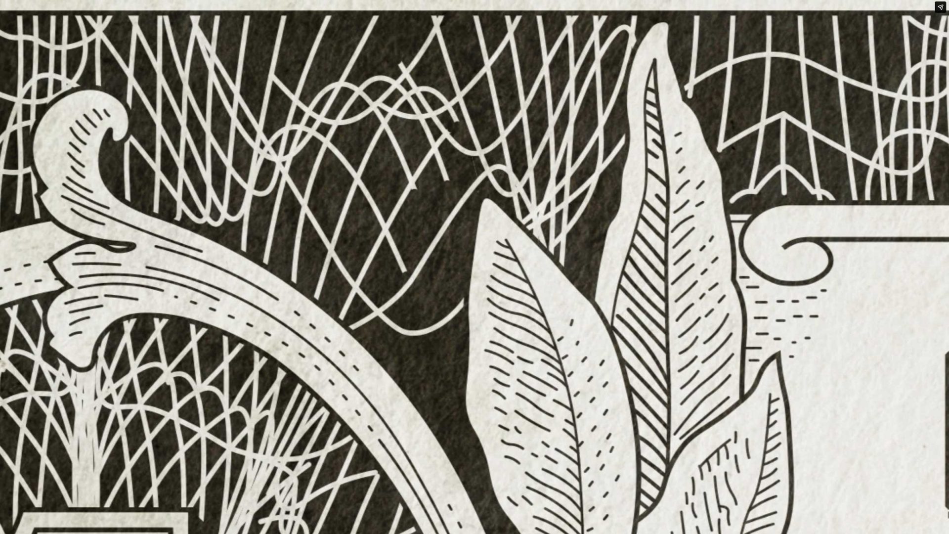 Black and white illustration featuring large leaves in the foreground and an abstract background of curved and intersecting white lines on a dark surface, inspired by the striking visual motifs seen in the McAlvany Wealth Management webinar promo by Roman White & Emberscope. Frame from Stash Magazine article.