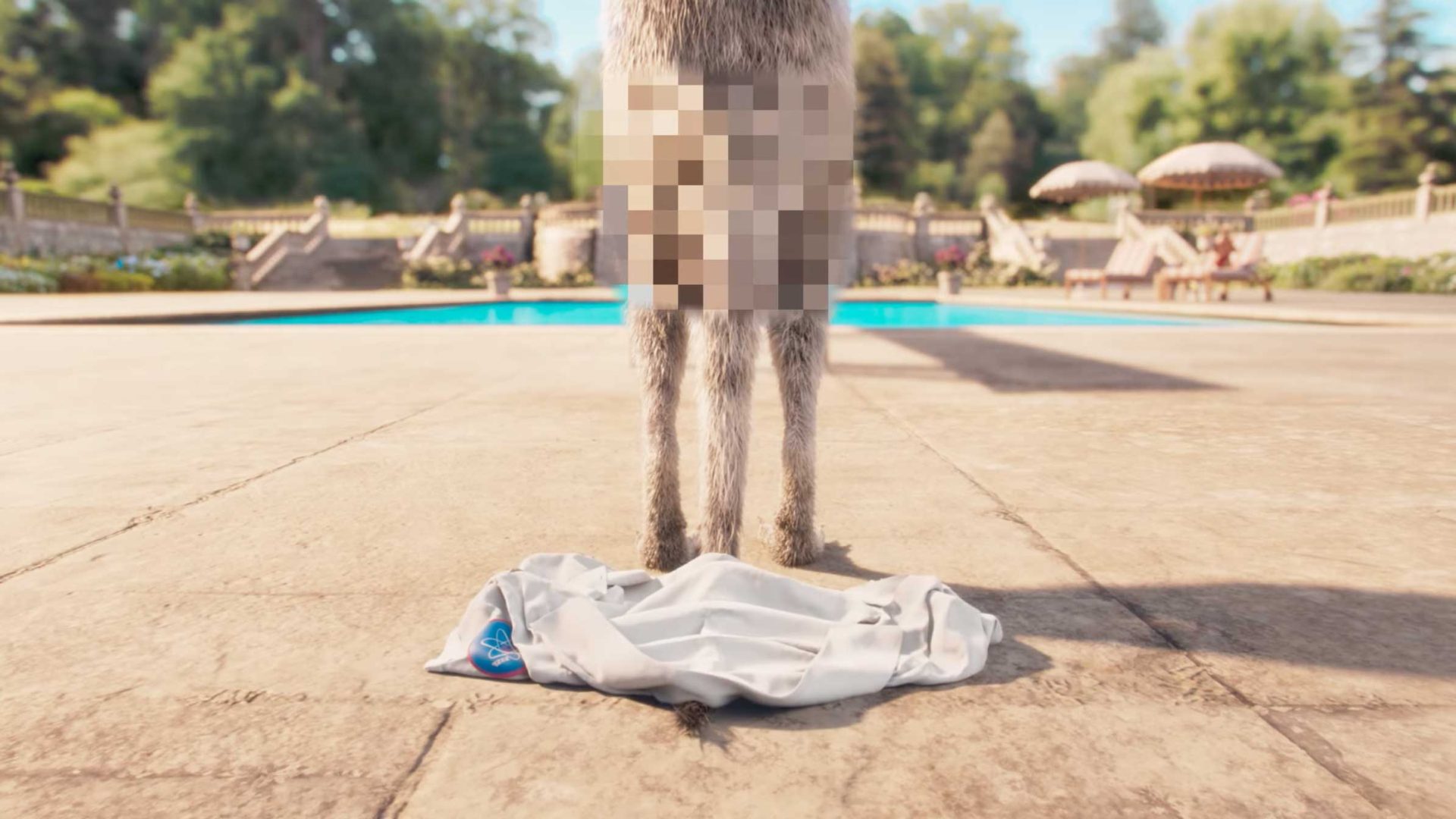 Me Time Compare the Market by Dave Scanlon ans Passion Animation | STASH MAGAZINE