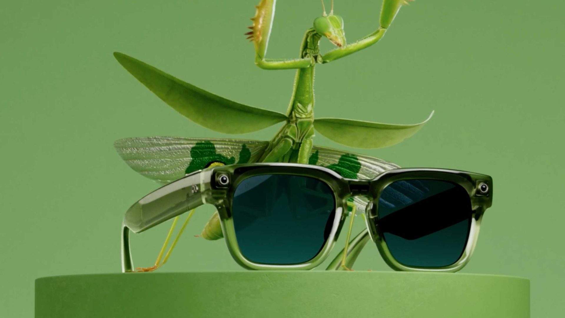 A green praying mantis poses behind stylish AI Glasses on a green pedestal, all set against a green background. Frame from Stash Magazine article.