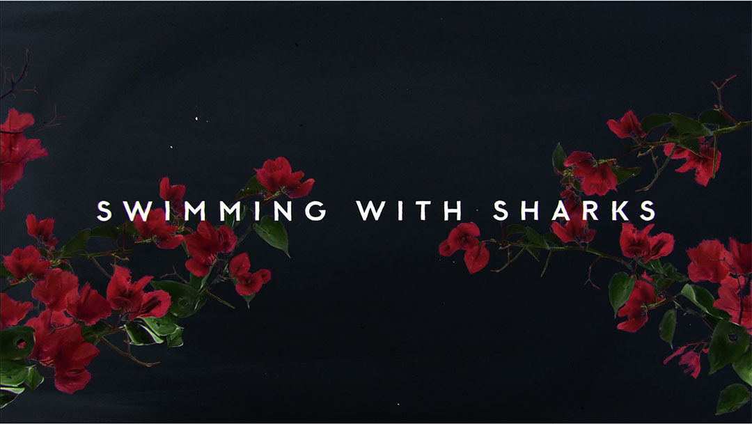 Method Studios Opens Swimming with Sharks TV Series | STASH MAGAZINE