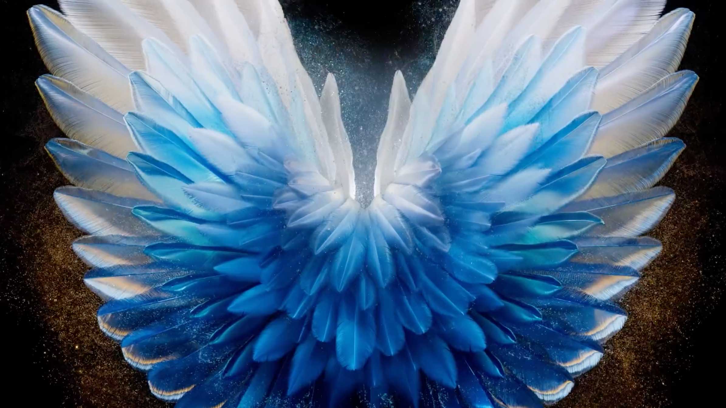 Millarc Mobile phone Motion wallpapers | STASH MAGAZINE