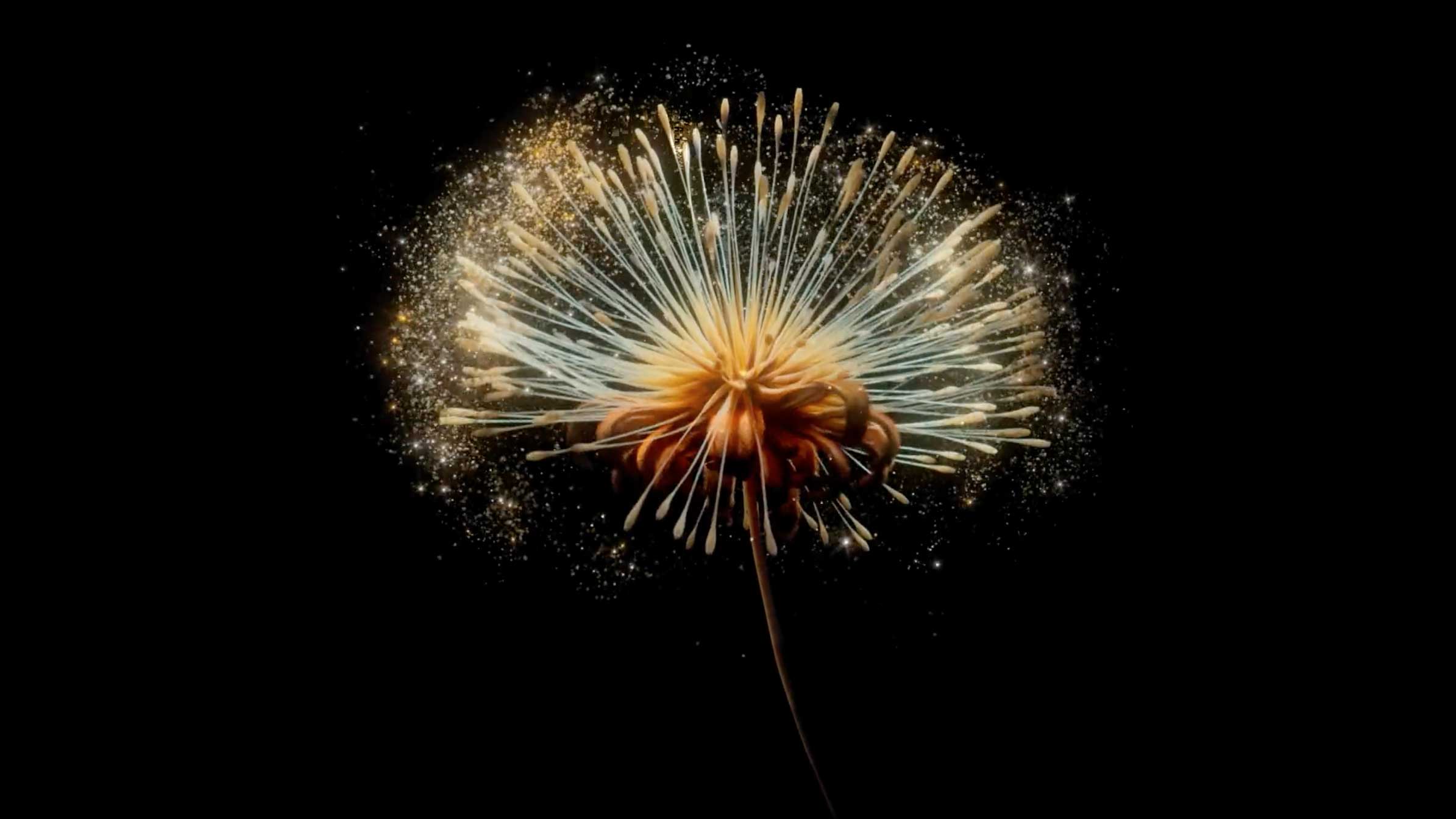 Millarc Mobile phone Motion wallpapers | STASH MAGAZINE