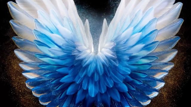 Mobile Motion: Millarc Shows Off Smartphone Wallpapers